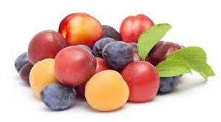 صورة للفئة خوخ  و مشمش  و برقوق