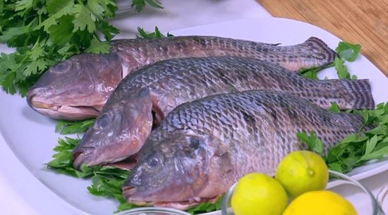 الصورة: بلطي