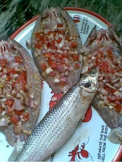 الصورة: بوري سنجاري حار