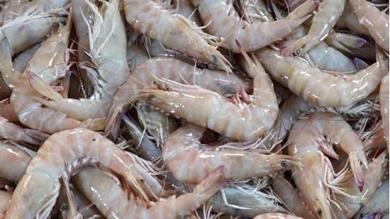 الصورة: جمبري مستورد