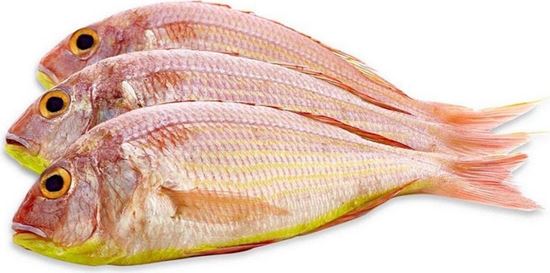 الصورة: سلطان ابراهيم "الباربوني"