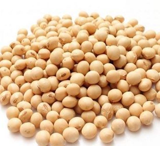 الصورة: فول صويا