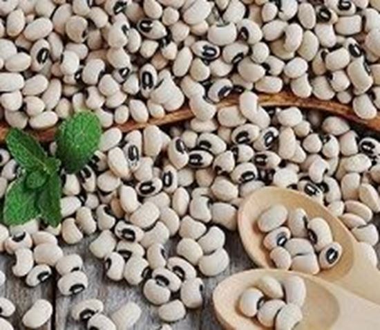 الصورة: لوبيا ناشفة