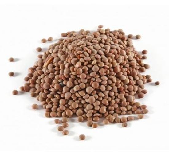 الصورة: عدس بجبة