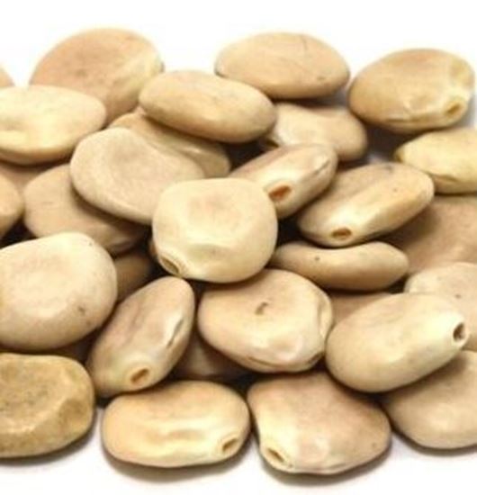 الصورة: ترمس مر