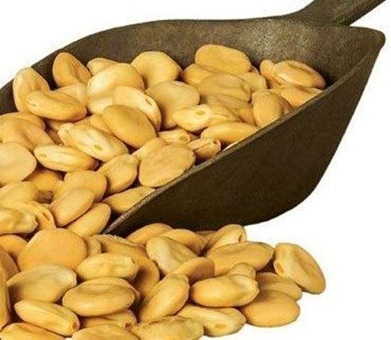 الصورة: ترمس حلو