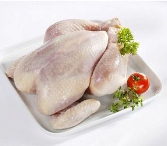 الصورة: دجاج ابيض  - حسب الوزن