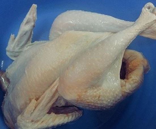 الصورة: ديك شمورت بلدي - حسب الوزن