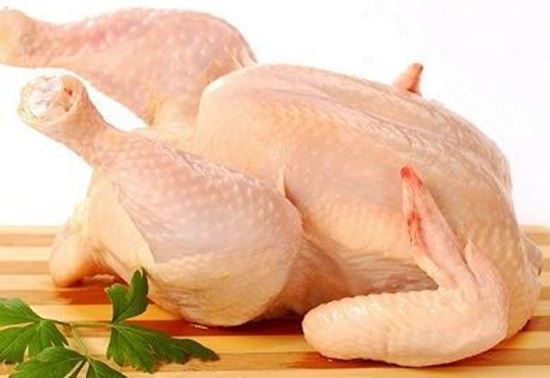 الصورة: دجاج احمر بلدي - حسب الوزن