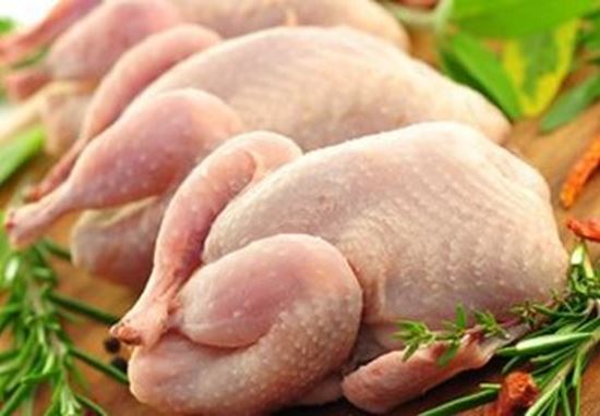 الصورة: حمام بلدي