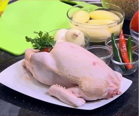 الصورة: بطة بكيني (حسب الوزن)