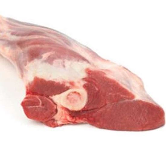 الصورة: موزة ضاني