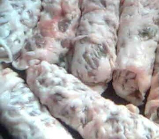 الصورة: طرب ضاني