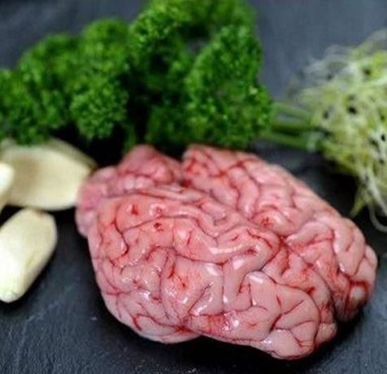 الصورة: مخ ضاني