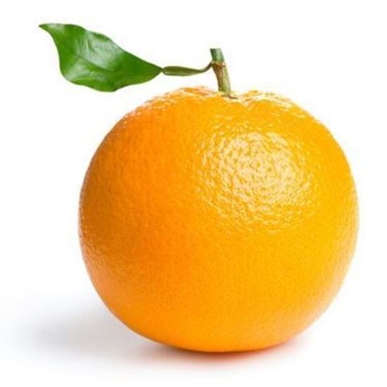 الصورة: برتقال بصرة