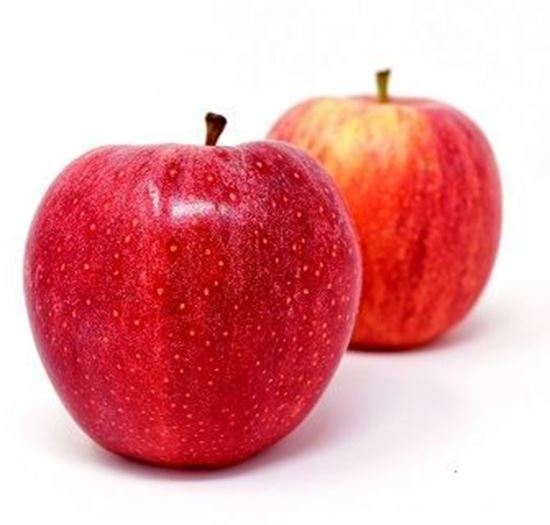 الصورة: تفاح  سكري   