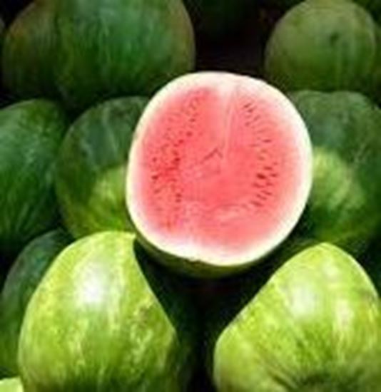 الصورة: 1/2 بطيخة (حسب الوزن)