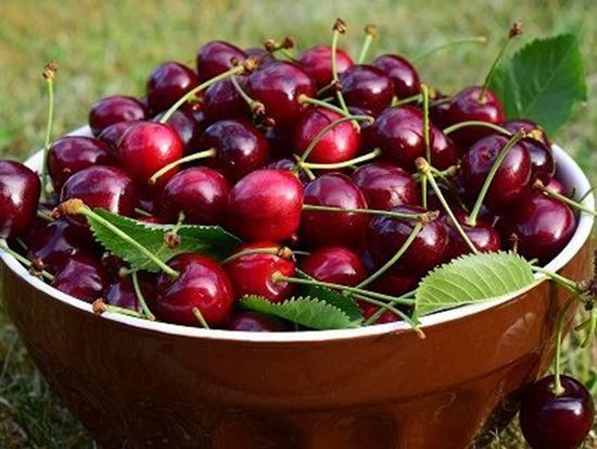 الصورة: كرز احمر