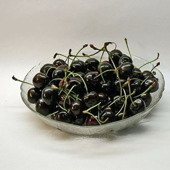 الصورة: كرز اسود