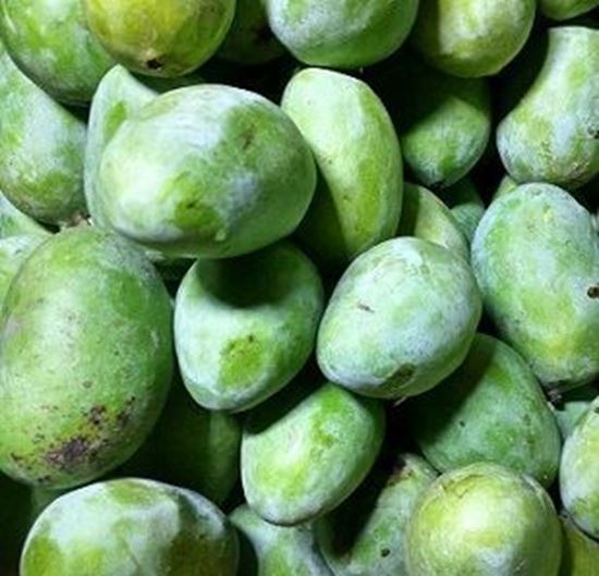 الصورة: مانجو جوليك   