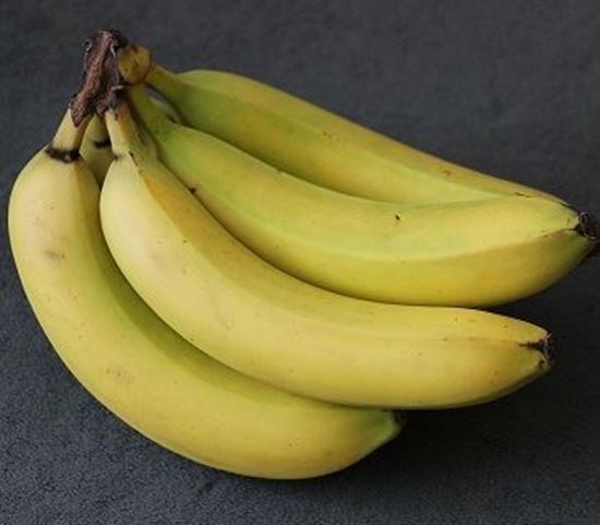 الصورة: موز بلدي