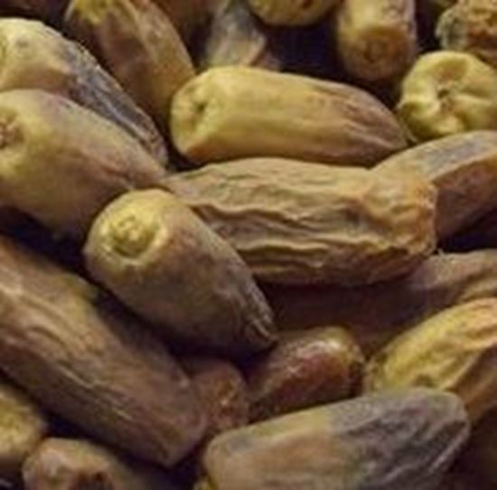 الصورة: بلح ناشف / خشاف