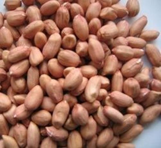 الصورة: سوداني اسواني