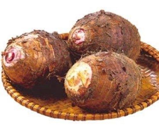 الصورة: قلقاس    