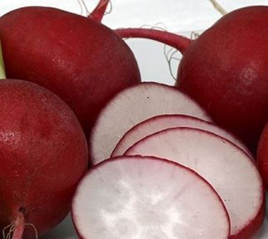 الصورة: فجل أحمر مقطع   