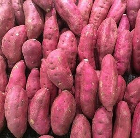 الصورة: بطاطا حلوة - أحمر