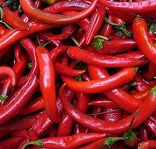 الصورة: فلفل أحمر حار     