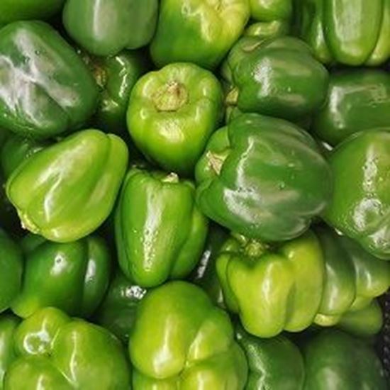 الصورة: فلفل رومي بيبي