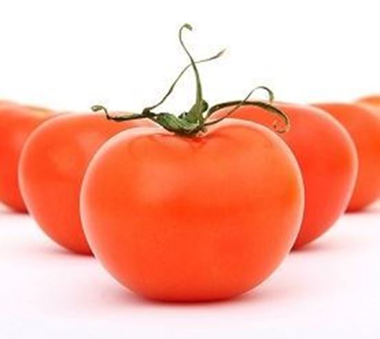 الصورة: طماطم      