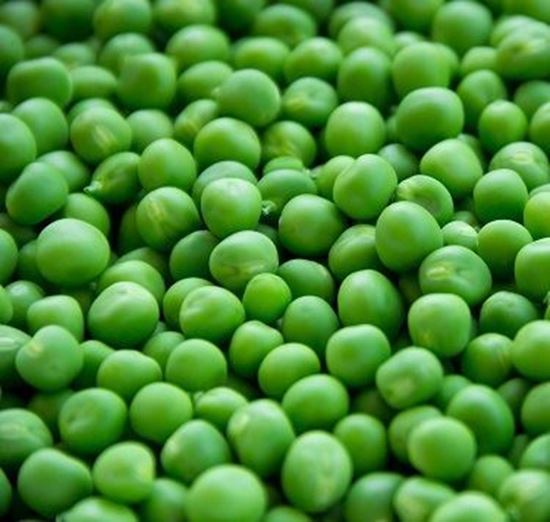 الصورة: بازيلاء مفصصة  