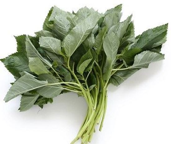 الصورة: ملوخية