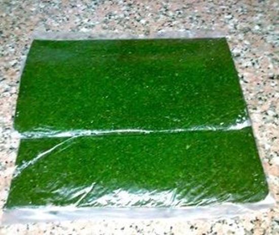 الصورة: ملوخية مخروطة