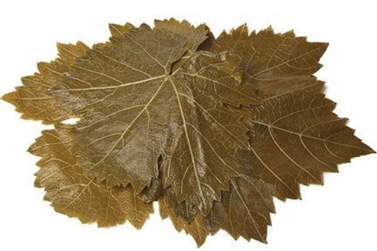 الصورة: ورق عنب مسلوق