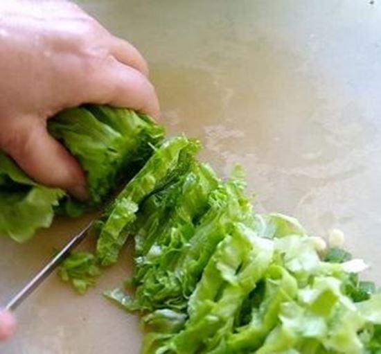 الصورة: خس بلدي مقطع