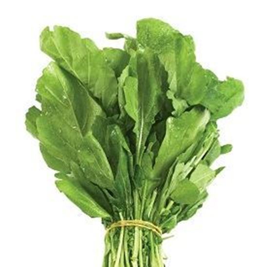 الصورة: جرجير     