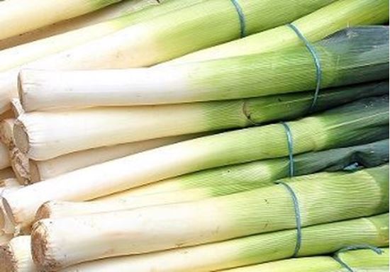 الصورة: كرات افرنجي