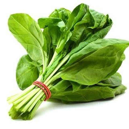 الصورة: سلق