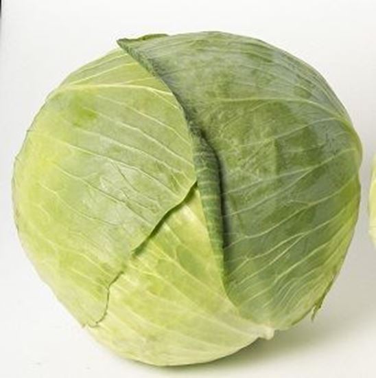 الصورة: كرنب ابيض - حسب الوزن      