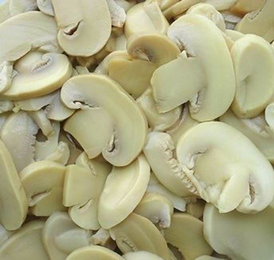 الصورة: فطر " مشروم" شرائح