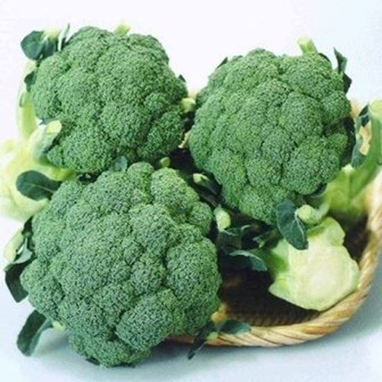 الصورة: بروكلي   