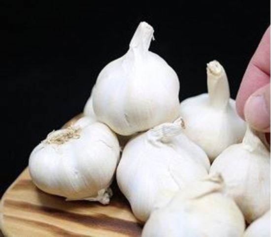 الصورة: ثوم صيني 