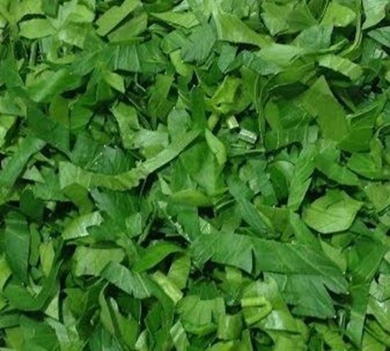 الصورة: كزبرة مقطعه