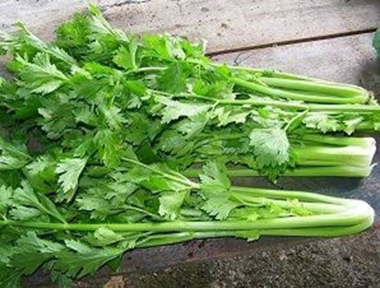 الصورة: كرفس بلدي