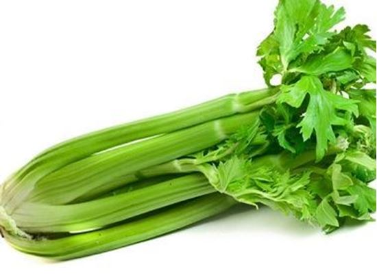 الصورة: كرفس افرنجي