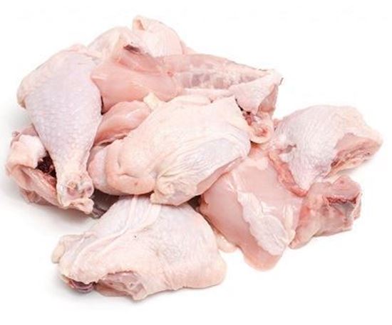 الصورة: بط بكيني قطع