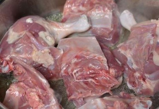 الصورة: بط مسكوفي قطع